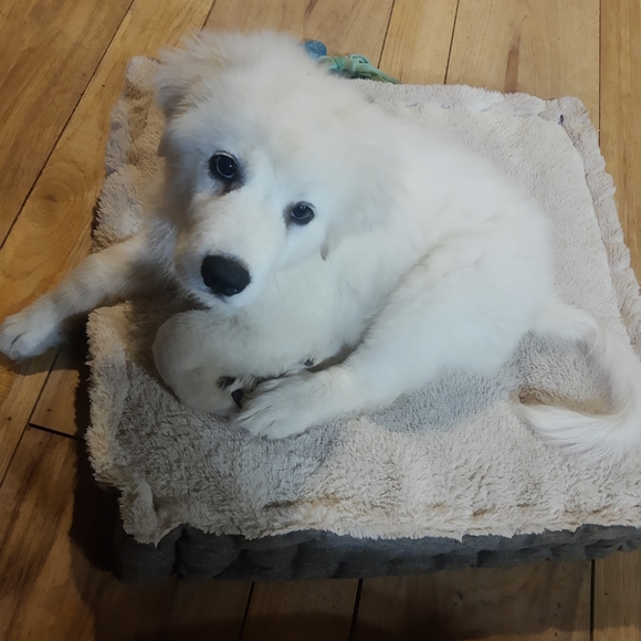 Handmade and Boutique style items - Picture 2 of 2